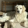 Nash
